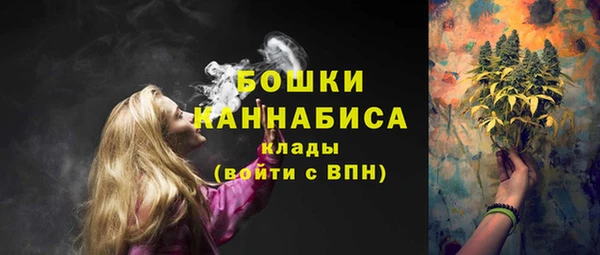 индика Белокуриха