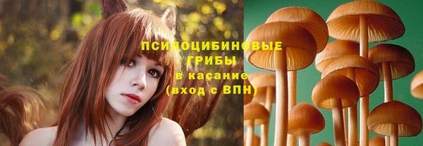 гидропоника Белоозёрский