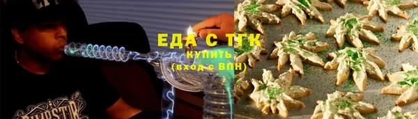 индика Белокуриха