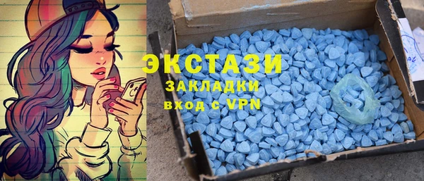 индика Белокуриха
