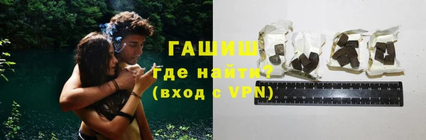 индика Белокуриха