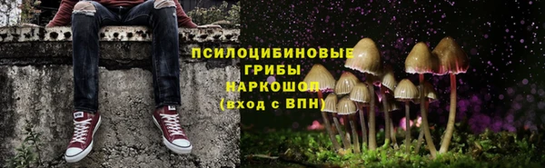 спайс Беломорск