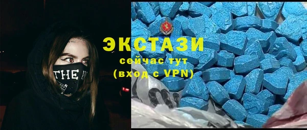 индика Белокуриха